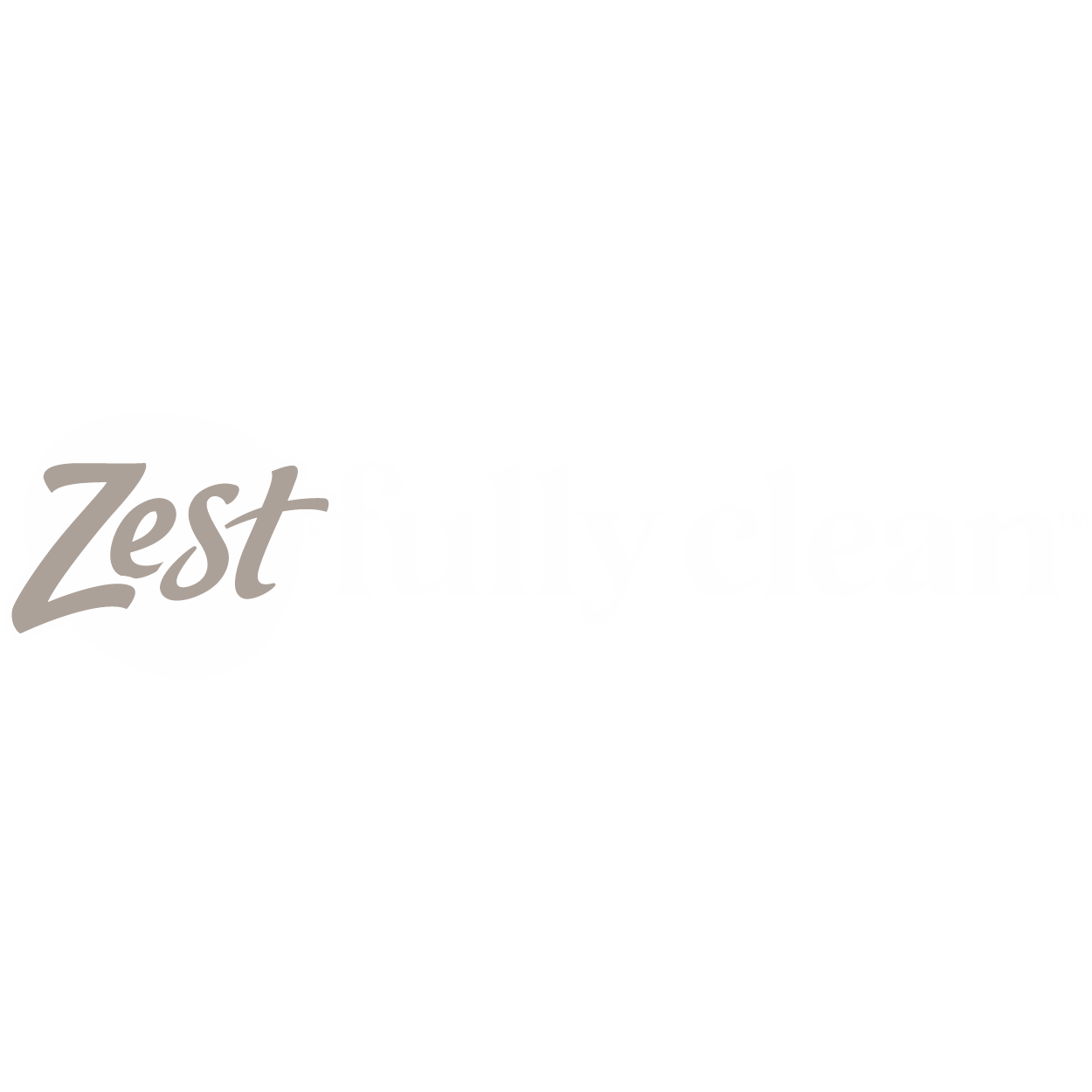 ZEST_Mesa de trabajo 1